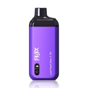 KC8000 Disposable Vape